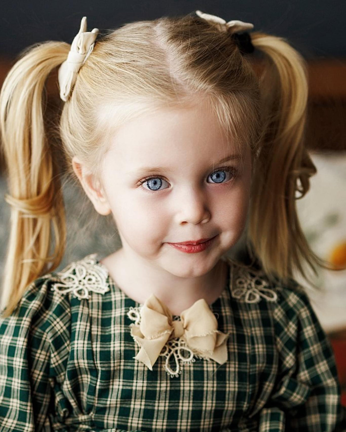 Vanoven Dress & Cover