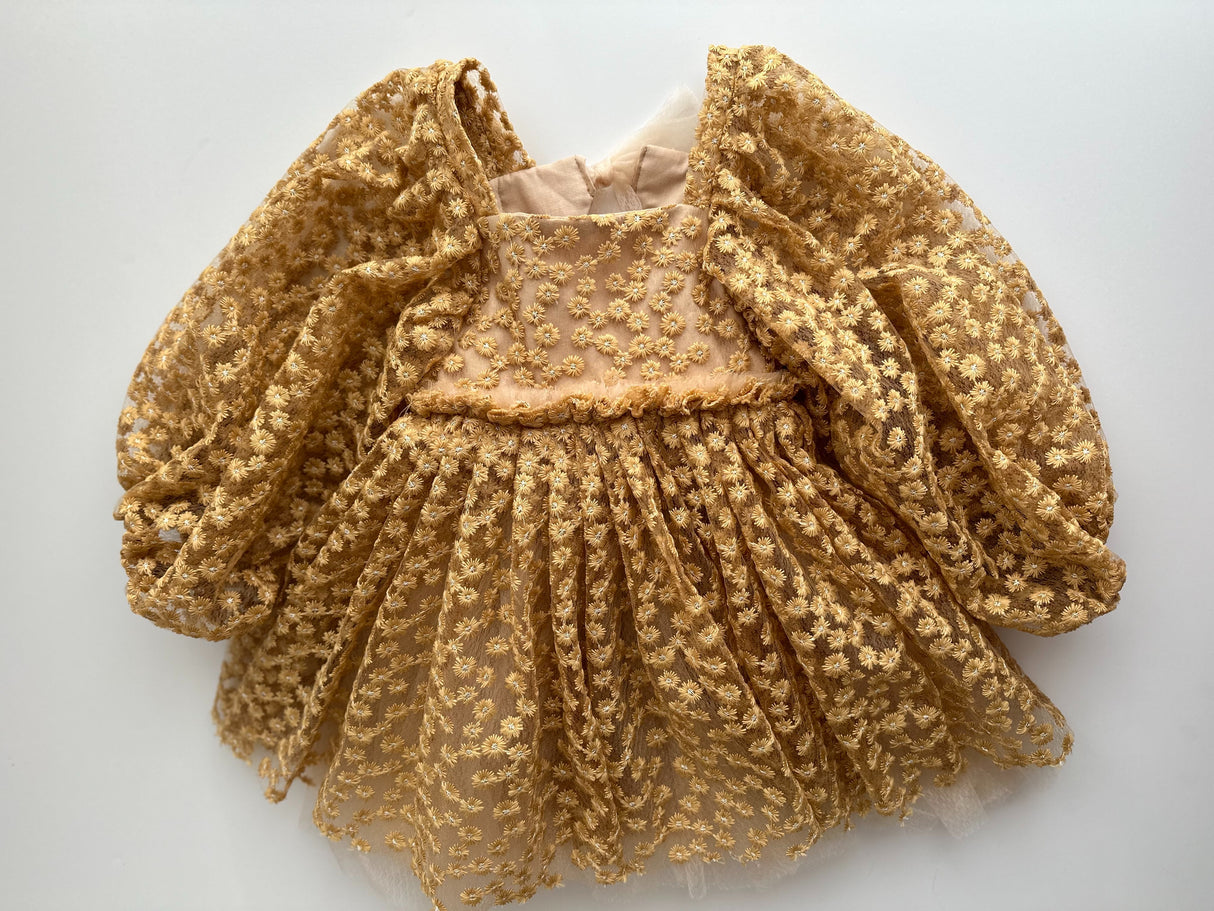 Genevieve Dress & Cover