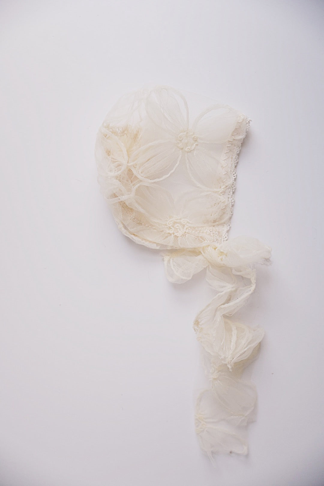 Sand-dollar Collection