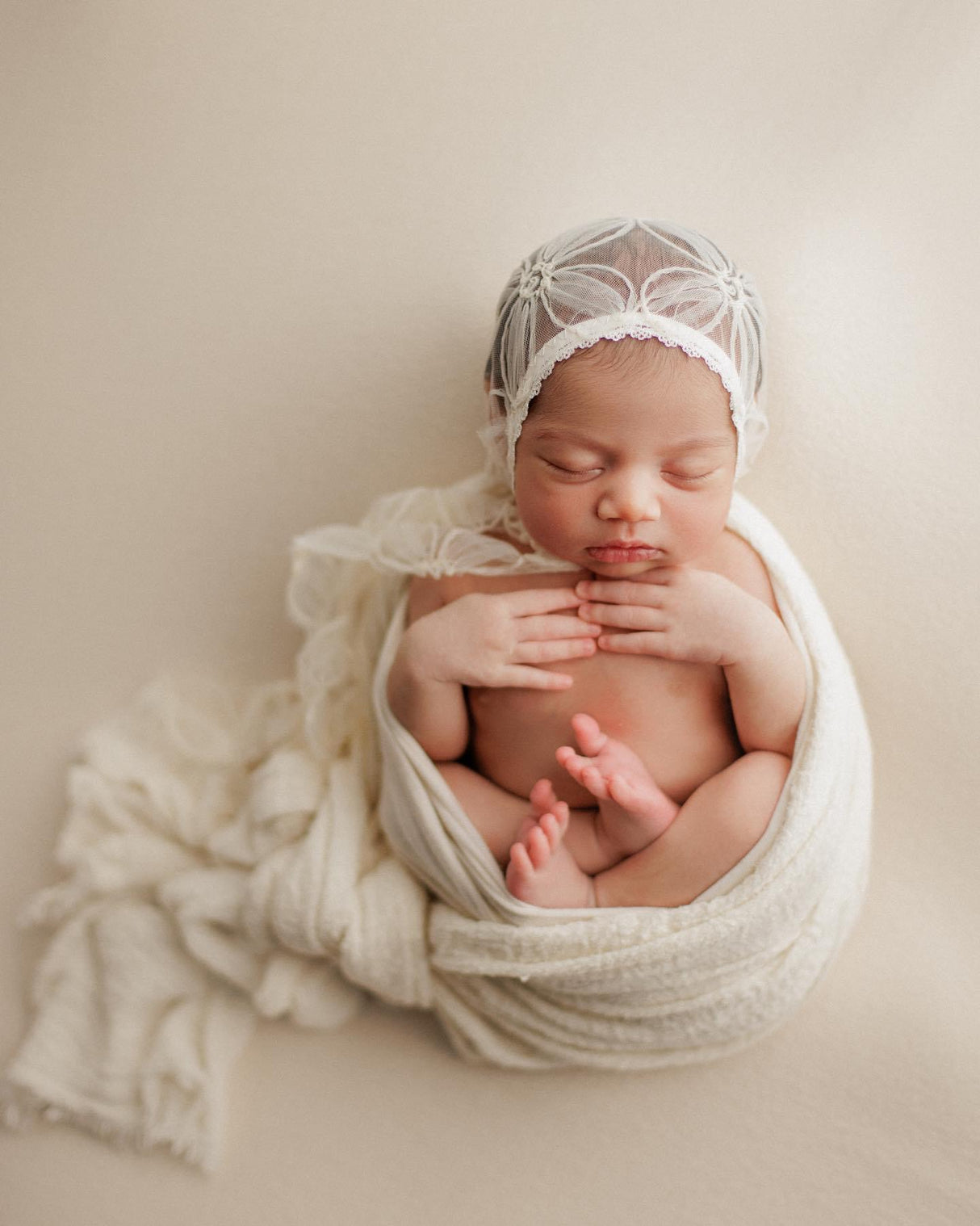 Sand-dollar Collection