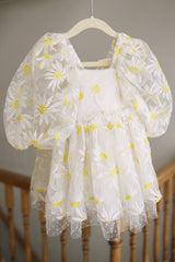 Ava Daisy Dress & Cover
