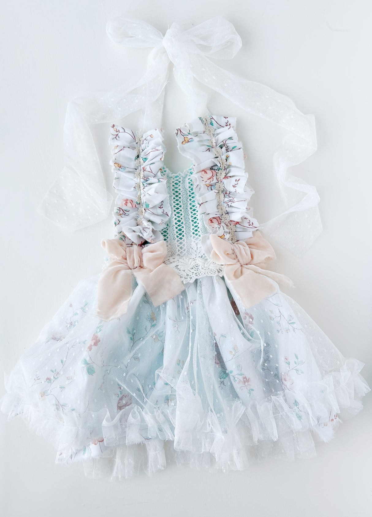 Cassandra 12-24m